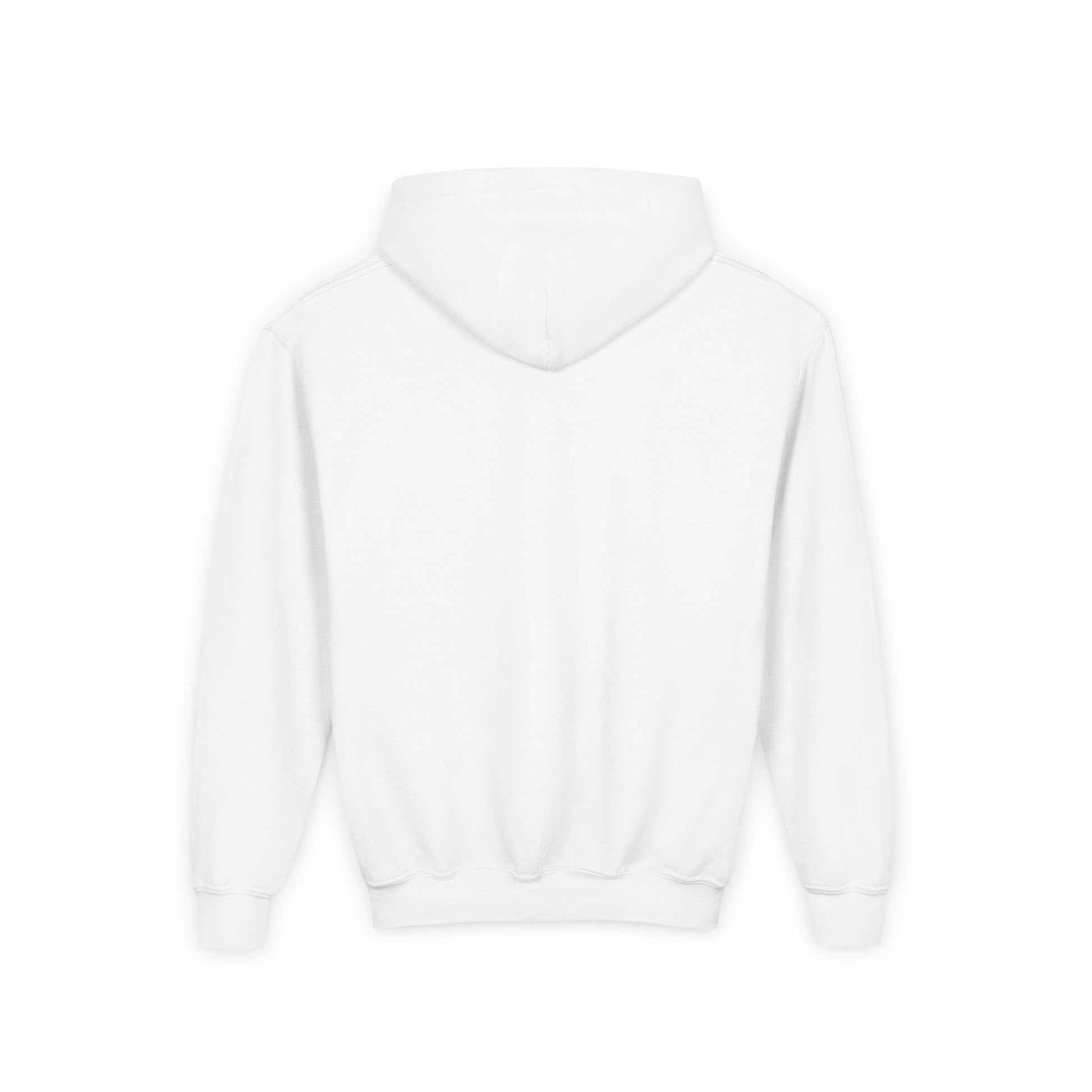 Hoover - H Youth Heavy Blend Hooded Sweatshirt - joyful