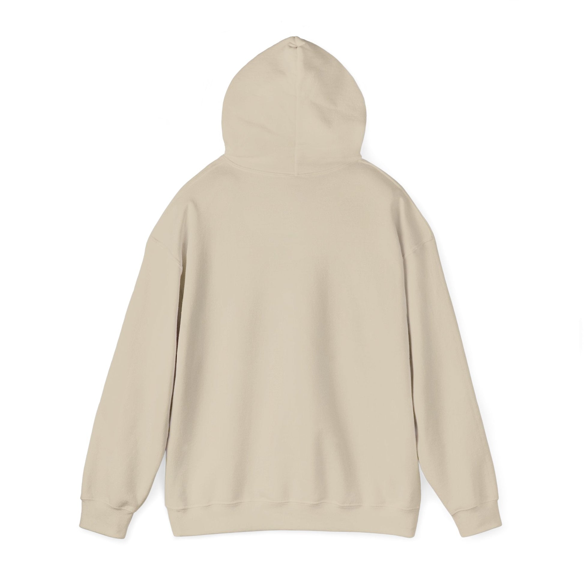 Vestavia Balls & Boys Hooded Sweatshirt - joyful
