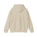 Vestavia Balls & Boys Hooded Sweatshirt - joyful