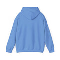 Vestavia Balls & Boys Hooded Sweatshirt - joyful