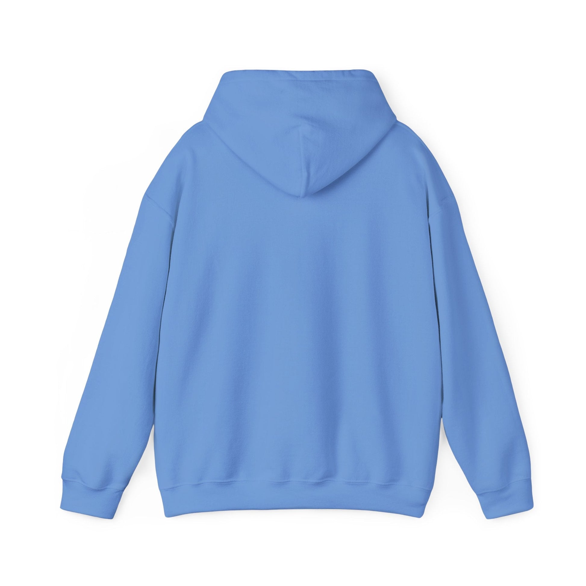 Vestavia Balls & Boys Hooded Sweatshirt - joyful