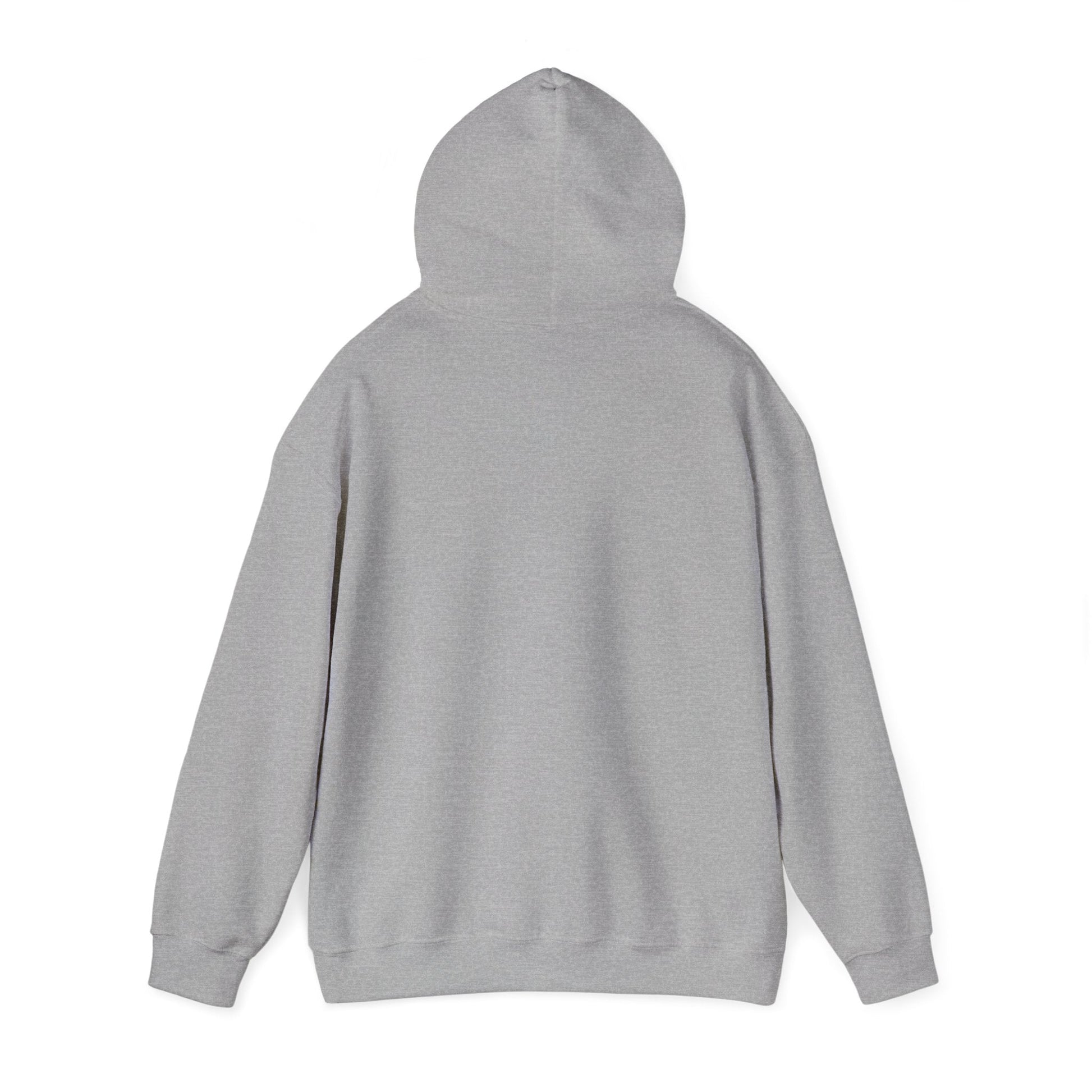 Vestavia Balls & Boys Hooded Sweatshirt - joyful