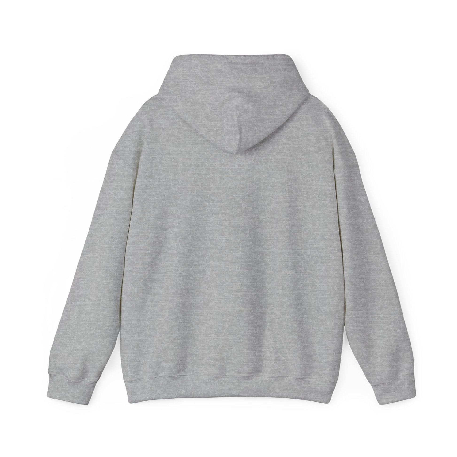Vestavia Balls & Boys Hooded Sweatshirt - joyful