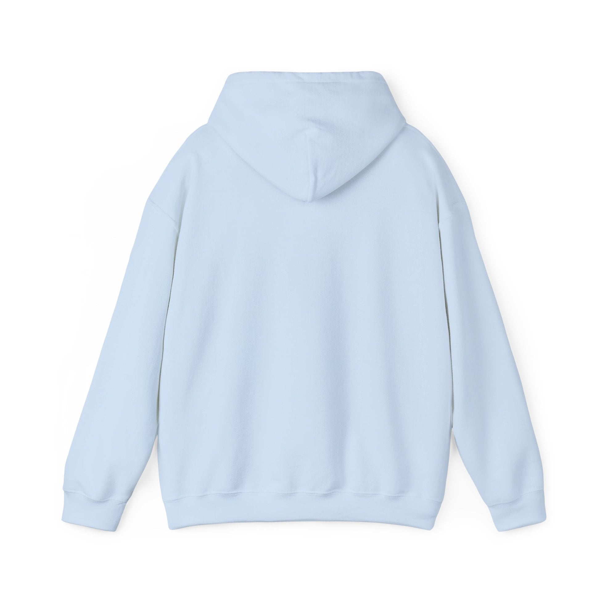 Vestavia Hills Mark Hooded Sweatshirt - joyful