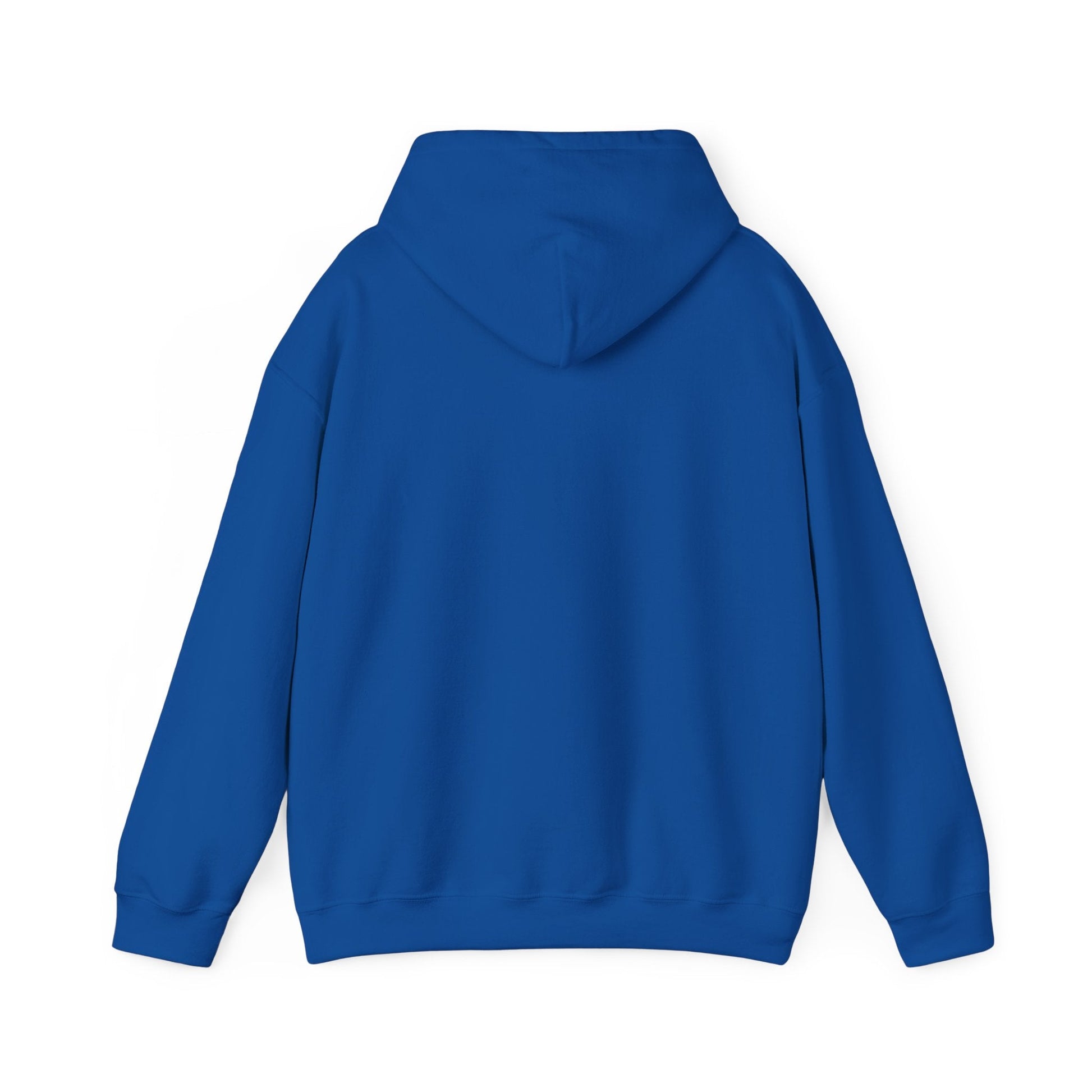 Vestavia Hooded Sweatshirt - joyful