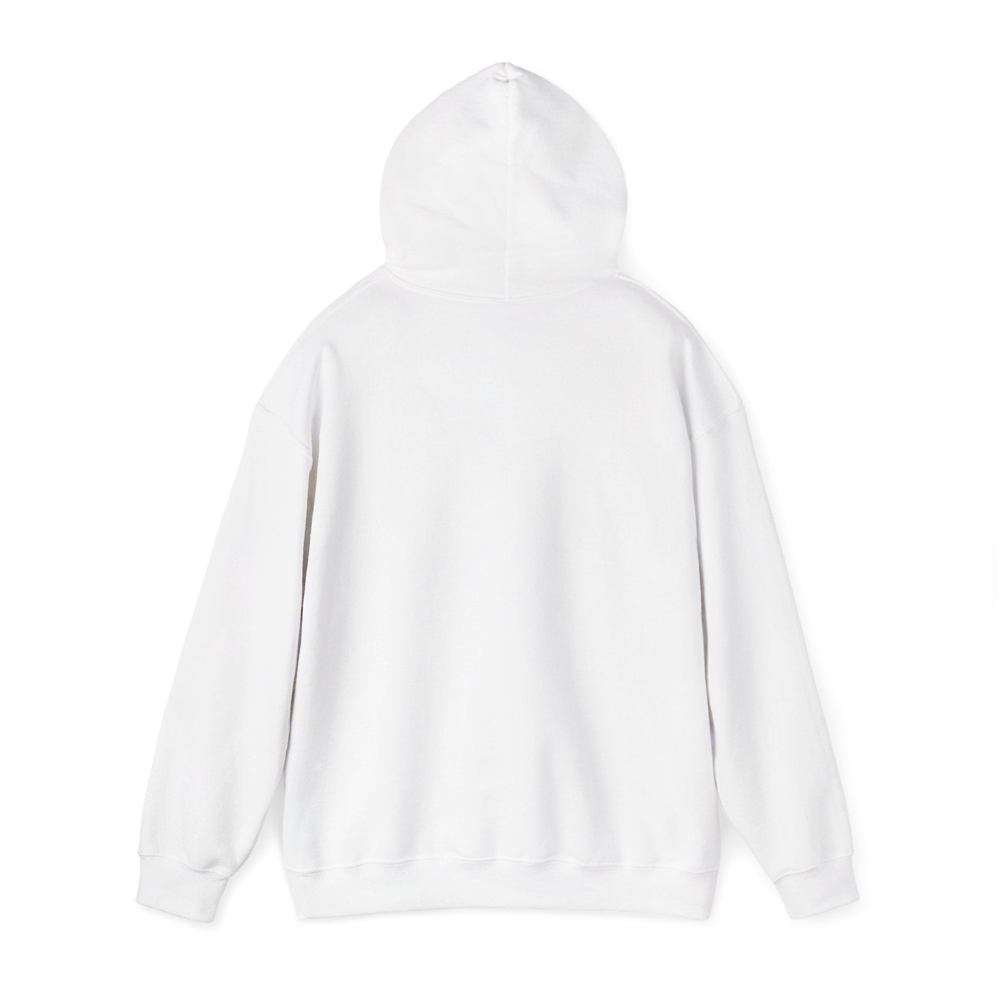 Vestavia - Louis Pizitz Hooded Sweatshirt - joyful